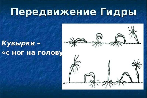 Кракен порошок