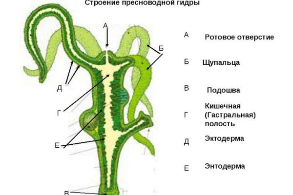 Что такое кракен маркет торкнет