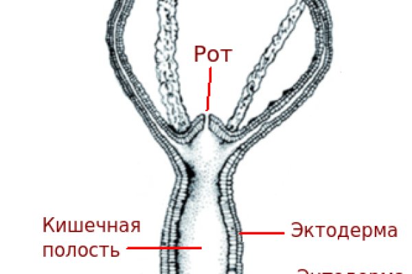 Кракен даркнет krawebes